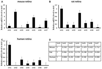 Expression of Sirtuins in the Retinal Neurons of Mice, Rats, and Humans